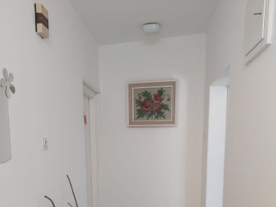 Apartment One bedroom apartment with terrace Rovinj A-23506-a - Outdoor photo 23