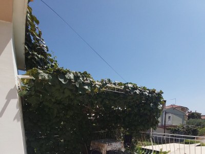 Apartment One bedroom apartment with terrace Rovinj A-23506-a - Outdoor photo 26