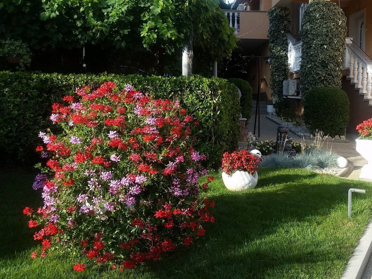 Apartment Studio flat with terrace Baška, Krk AS-23618-c - Outdoor photo 4