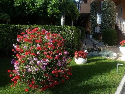 Apartment Studio flat with terrace Baška, Krk AS-23618-c - Outdoor photo 4