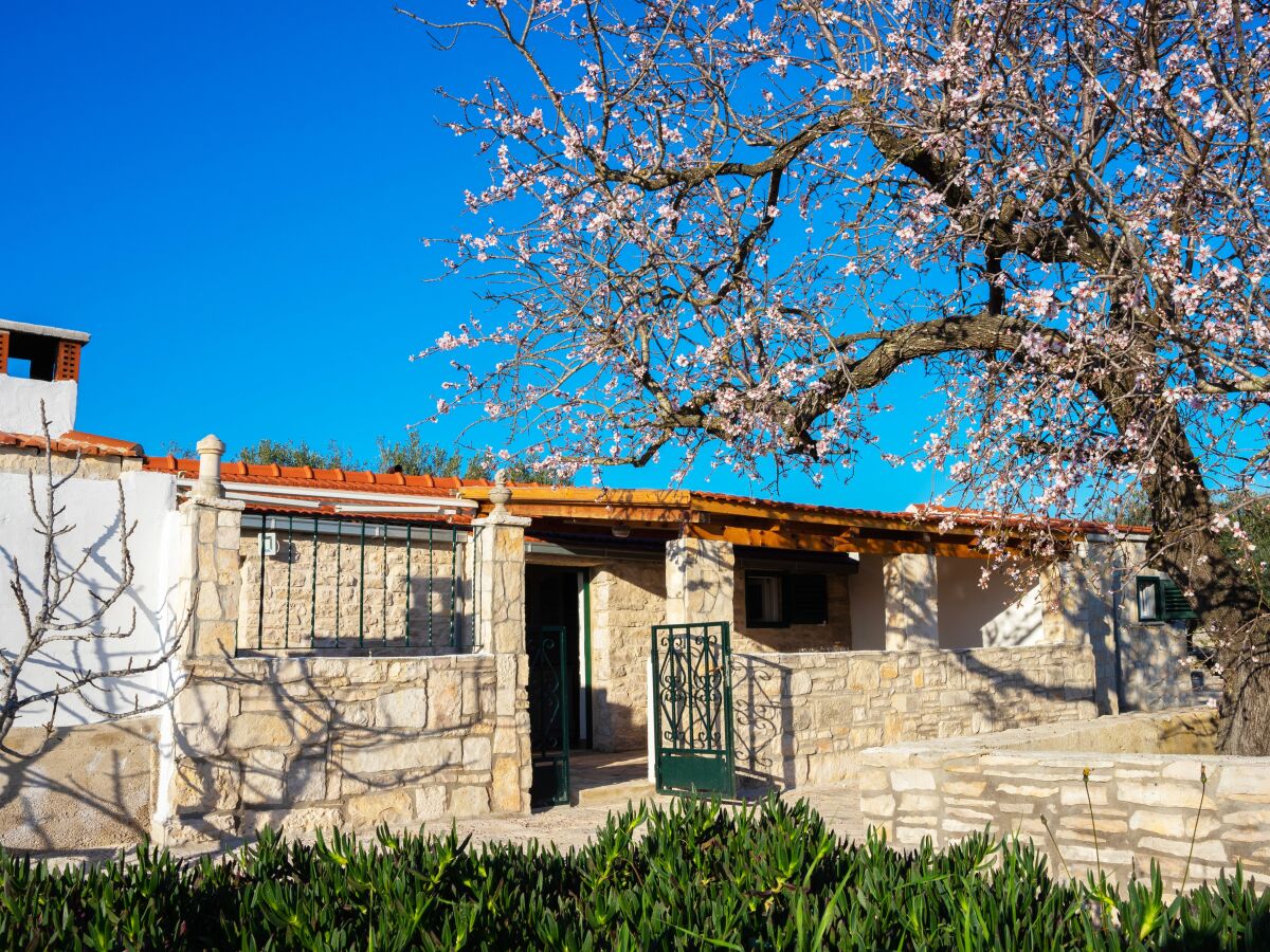 Holiday house Two bedroom house with terrace Cove Pelegrin, Korčula K-23866 - Outdoor photo 3