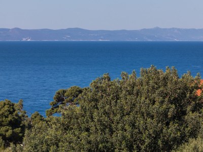 Apartment Studio flat with balcony and sea view Podgora, Makarska AS-23916-a - Outdoor photo 25