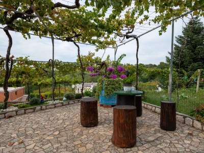 Apartment One bedroom apartment with terrace and sea view Lopar, Rab A-23736-c - Outdoor photo 10