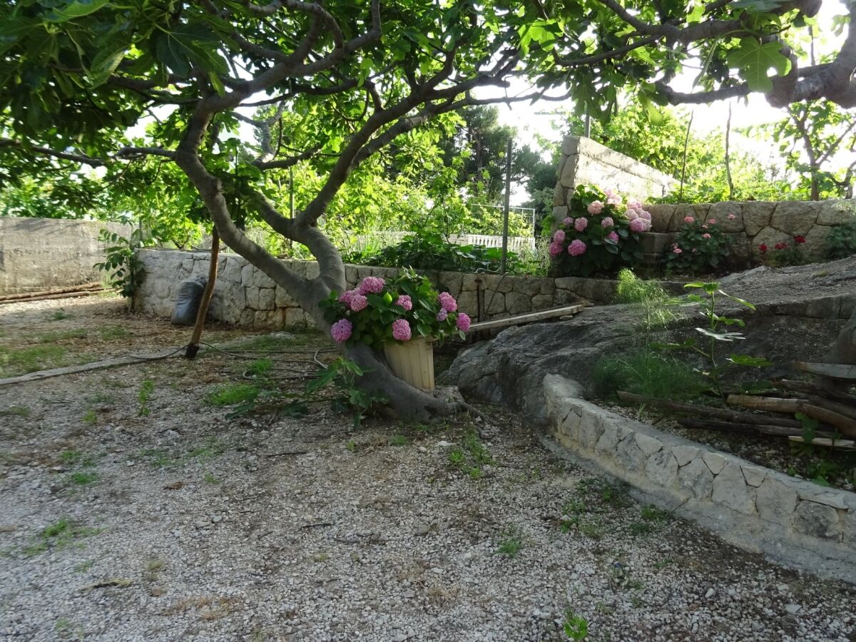 Apartment Two bedroom apartment with terrace Živogošće - Blato, Makarska A-23922-b - Outdoor photo 5