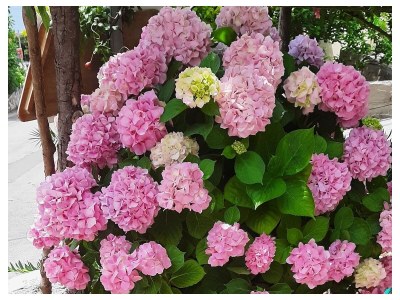 Apartment Two bedroom apartment with terrace Živogošće - Blato, Makarska A-23922-b - Outdoor photo 6