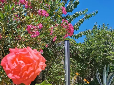 Apartment One bedroom apartment near beach Šilo, Krk A-18755-a - Outdoor photo 6