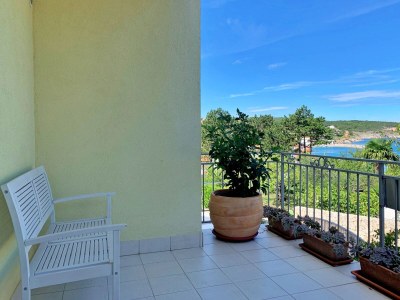 Apartment Two bedroom apartment with terrace and sea view Šilo, Krk A-18678-c - Outdoor photo 49