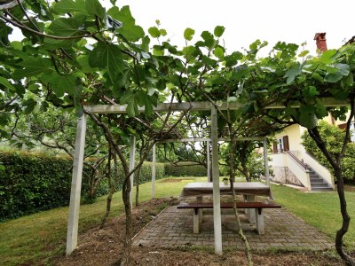 Apartment Two bedroom apartment with terrace Poreč A-16495-a - Outdoor photo 8