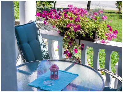 Apartment One bedroom apartment with terrace Zaton, Zadar A-15000-a - Outdoor photo 13