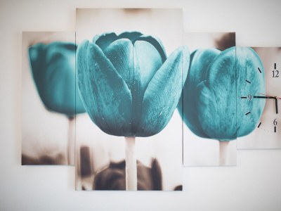 Apartment Two bedroom apartment near beach Petrčane, Zadar A-17179-a - Outdoor photo 11