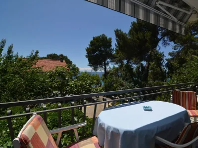 Apartment One bedroom apartment near beach Petrčane, Zadar A-17179-b - Outdoor photo 19