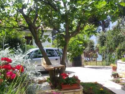 Apartment Studio flat near beach Petrčane, Zadar AS-17179-a - Outdoor photo 23