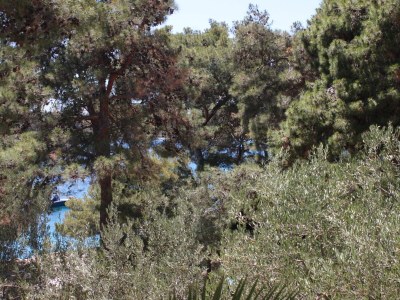 Apartment One bedroom apartment with terrace and sea view Mali Lošinj, Lošinj A-2489-b - Outdoor photo 24