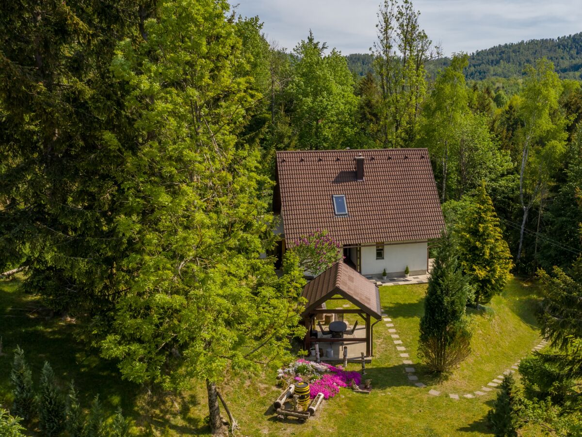 Holiday house One bedroom house with terrace Lokve, Gorski kotar K-18226