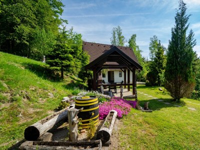 Holiday house One bedroom house with terrace Lokve, Gorski kotar K-18226 - Outdoor photo 6
