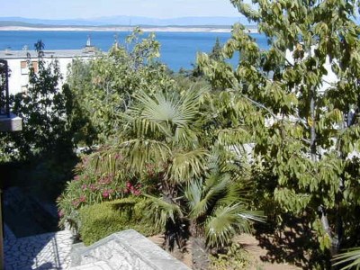 Apartment Three bedroom apartment with terrace and sea view Crikvenica A-23997-a - Outdoor photo 4