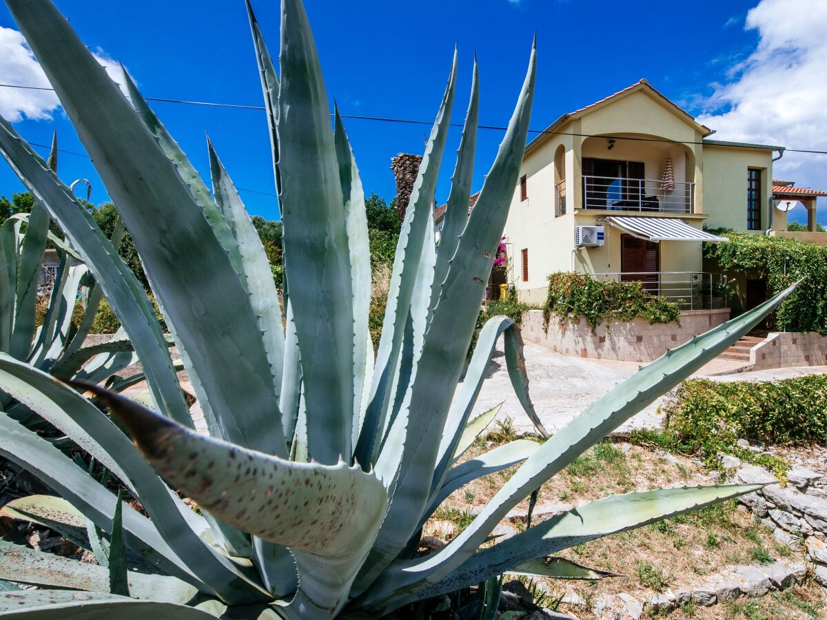 Apartment One bedroom apartment with terrace Sali, Dugi otok A-24032-b