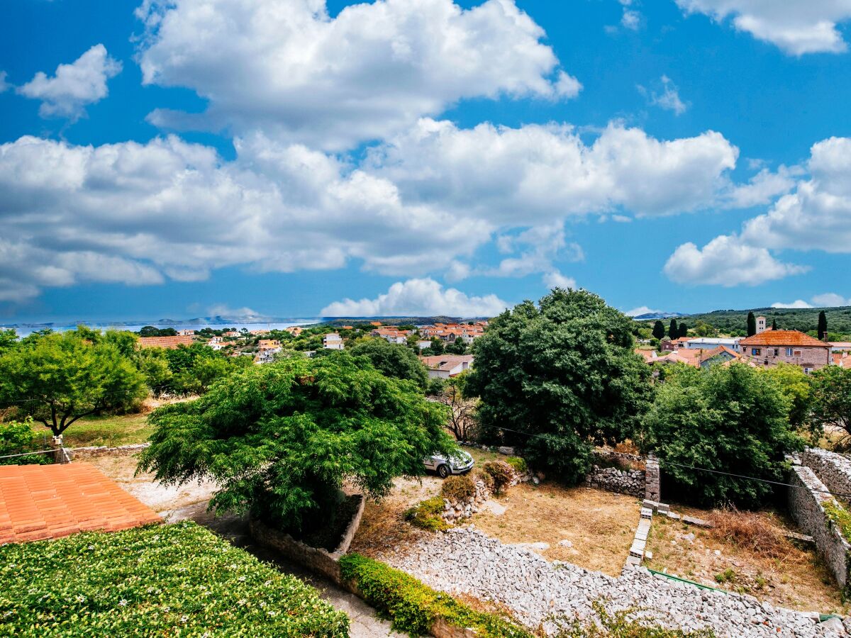Apartment One bedroom apartment with terrace Sali, Dugi otok A-24032-b - Outdoor photo 3