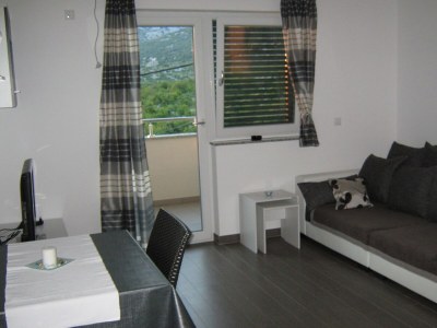 Apartment One bedroom apartment with balcony and sea view Ribarica, Karlobag A-24233-b - Outdoor photo 23