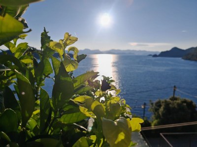 Apartment Two bedroom apartment with terrace and sea view Sobra, Mljet A-24530-a - Outdoor photo 20