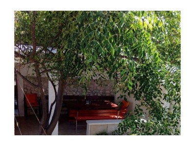 Apartment Two bedroom apartment near beach Povlja, Brač A-24248-a - Outdoor photo 5