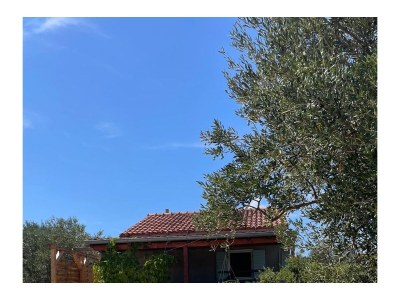 Holiday house Two bedroom house near beach Cove Žižanj, Pašman K-24722 - Outdoor photo 3