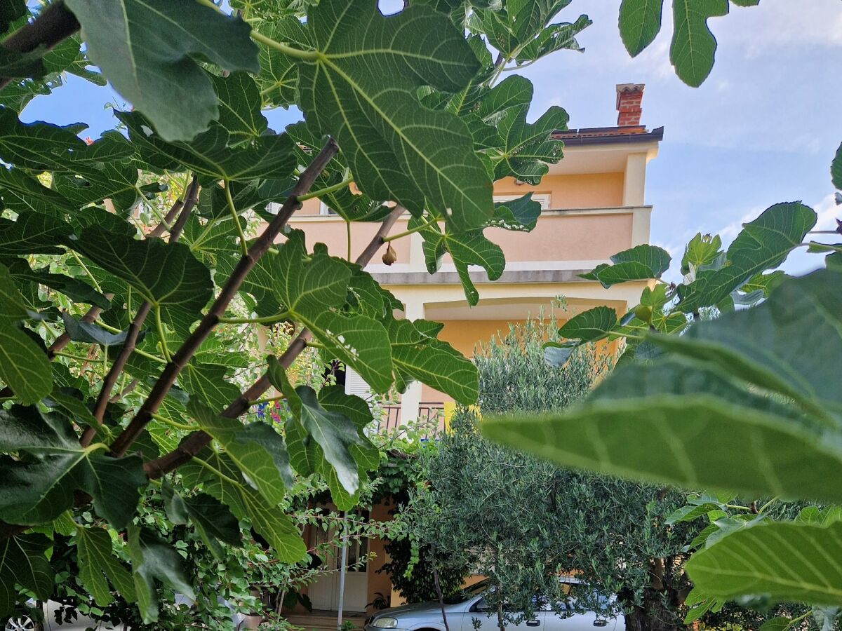 Apartment Two bedroom apartment with balcony Lopar, Rab A-24754-a - Outdoor photo 5