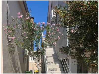 Apartment Four-bedroom apartment with balcony Bibinje, Zadar A-24788-a - Outdoor photo 2