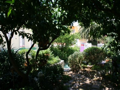 Apartment Two bedroom apartment with terrace Makarska A-6636-a - Outdoor photo 26