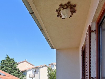 Apartment One bedroom apartment with balcony and sea view Selce, Crikvenica A-24439-b - Outdoor photo 20