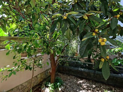 Apartment One bedroom apartment with terrace Selce, Crikvenica A-24450-a - Outdoor photo 18