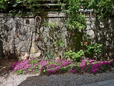 Apartment One bedroom apartment with terrace Selce, Crikvenica A-24450-b - Outdoor photo 4