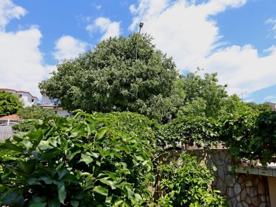 Apartment One bedroom apartment with terrace Selce, Crikvenica A-24450-b - Outdoor photo 25