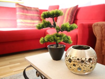 Apartment One bedroom apartment with terrace Seline, Paklenica A-24806-a - Outdoor photo 9