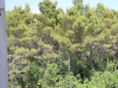 Apartment One bedroom apartment with terrace Seline, Paklenica A-24806-a - Outdoor photo 25