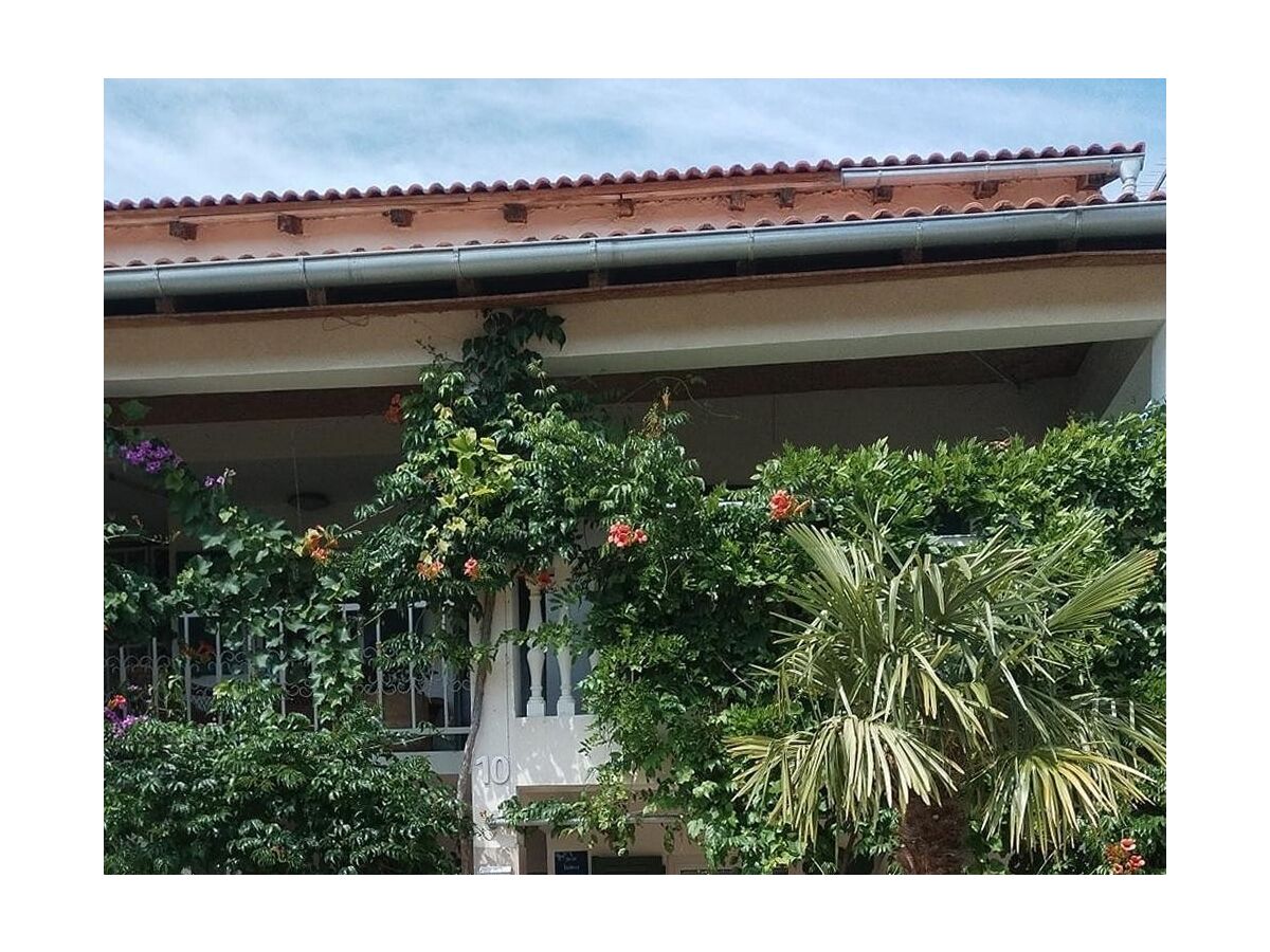 Apartment One bedroom apartment with terrace Seline, Paklenica A-24806-c - Outdoor photo 4