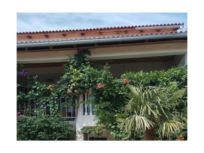 Apartment One bedroom apartment with terrace Seline, Paklenica A-24806-d - Outdoor photo 4