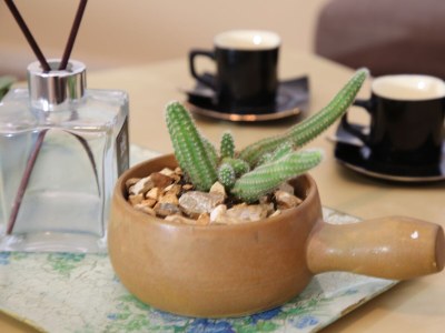 Apartment One bedroom apartment with terrace Seline, Paklenica A-24806-d - Outdoor photo 11