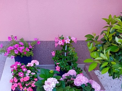 Holiday house Comfortable and spacious house with terrace and sea view Kaštel Lukšić, Kaštela K-24815 - Outdoor photo 14