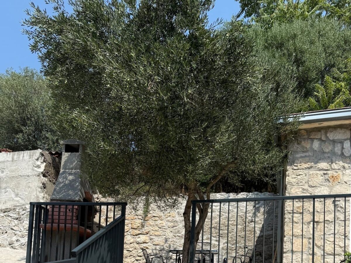 Apartment Three bedroom apartment with terrace Trpanj, Pelješac A-24922-a - Outdoor photo 4