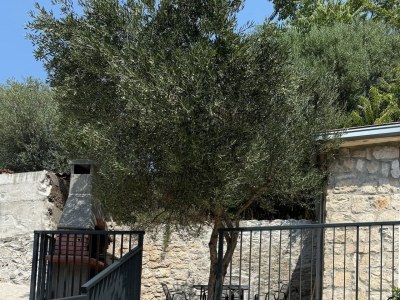 Apartment Three bedroom apartment with terrace Trpanj, Pelješac A-24922-a - Outdoor photo 4