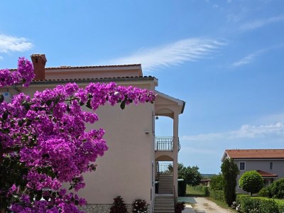 Apartment Three bedroom apartment with terrace Buići, Poreč A-24819-a - Outdoor photo 6