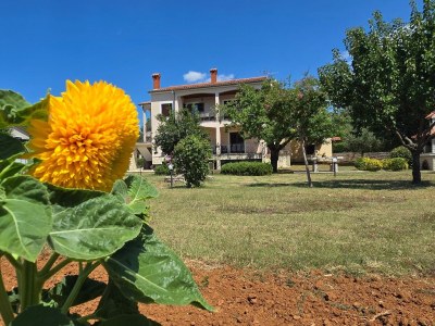 Apartment Three bedroom apartment with terrace Buići, Poreč A-24819-a - Outdoor photo 7