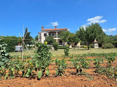 Apartment Three bedroom apartment with terrace Buići, Poreč A-24819-a - Outdoor photo 9