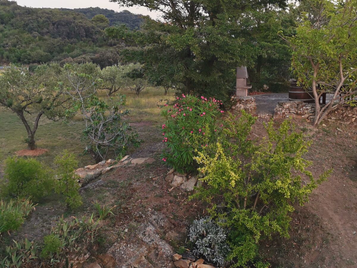 Apartment Two bedroom apartment with terrace and sea view Kampor, Rab A-24838-a - Outdoor photo 5