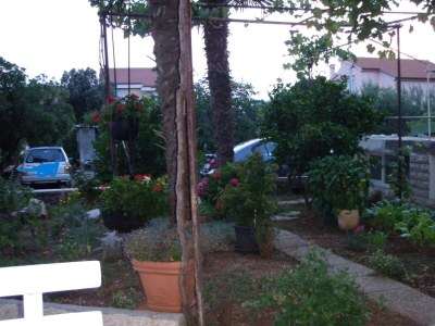 Apartment Two bedroom apartment with balcony Punat, Krk A-24849-a - Outdoor photo 2