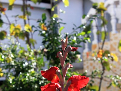 Apartment Three bedroom apartment with balcony and sea view Mastrinka, Čiovo A-9428-a - Outdoor photo 9