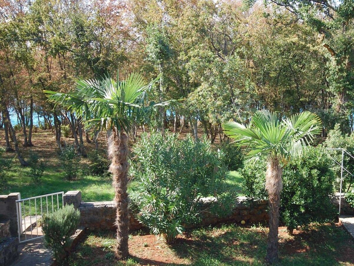 Apartment One bedroom apartment with terrace Njivice, Krk A-21870-a - Outdoor photo 3