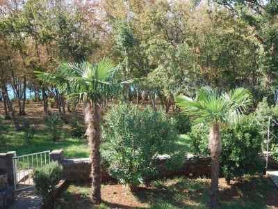 Apartment One bedroom apartment with terrace Njivice, Krk A-21870-a - Outdoor photo 3