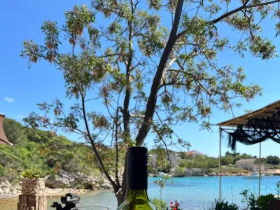 Apartment Two bedroom apartment near beach Potočnica, Pag A-222-a - Outdoor photo 5